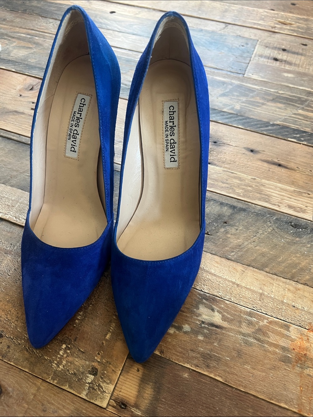 Charles David Cobalt Blue Suede Pointed Toe Pumps
